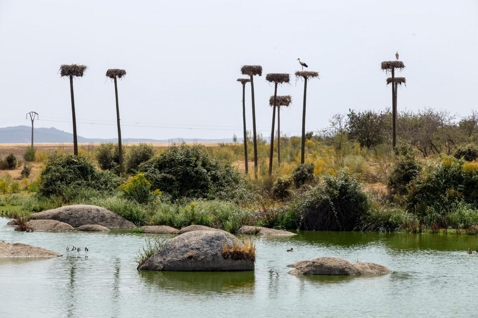 מלון Torrejón el Rubio Hospederia Parque De Monfraguee מראה חיצוני תמונה